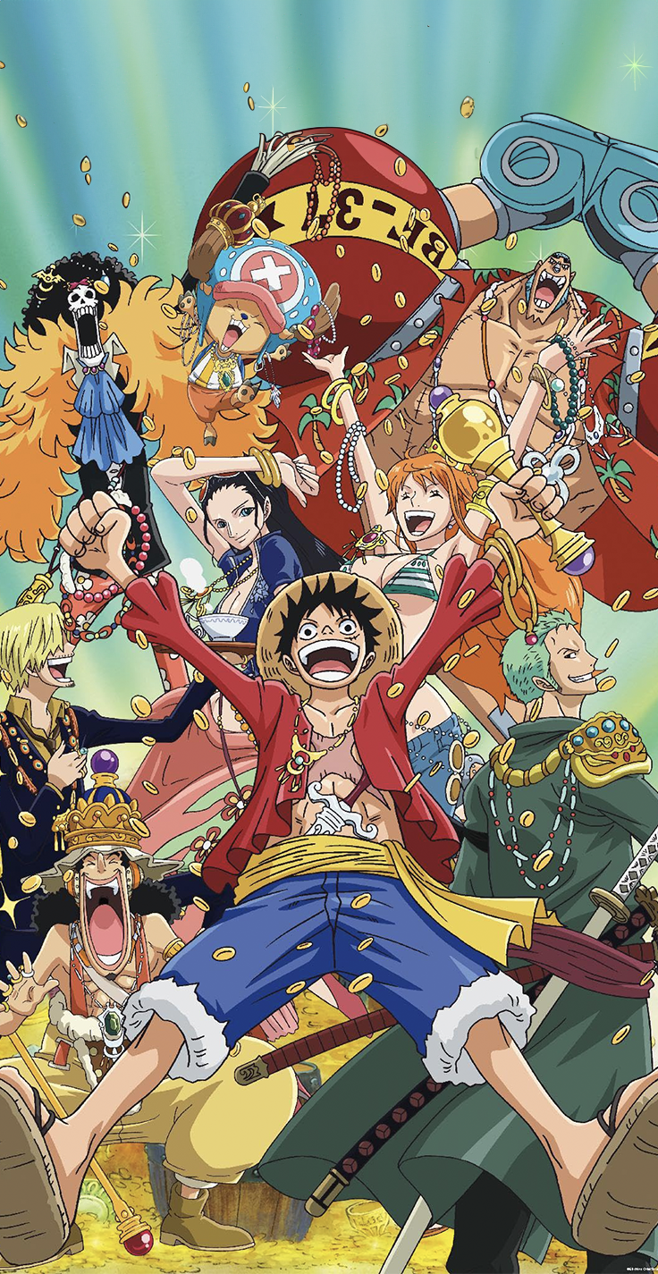 Carcasa One Piece