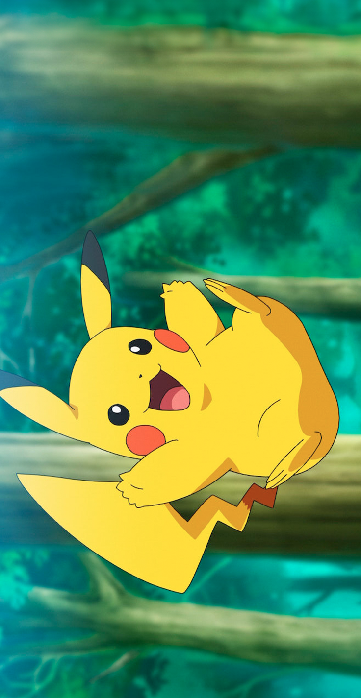 Carcasa Pokémon